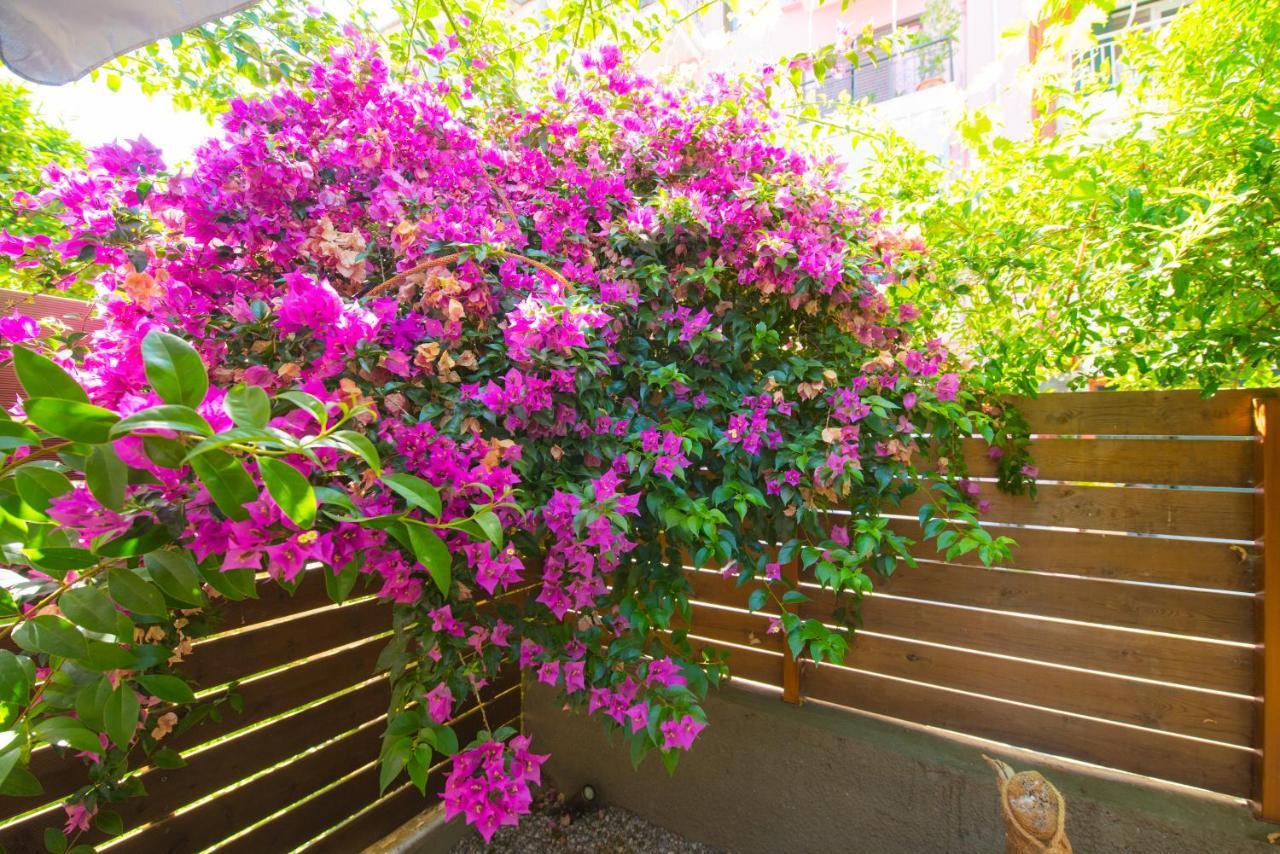 Casa Dina Apartment Lefkada City Bagian luar foto