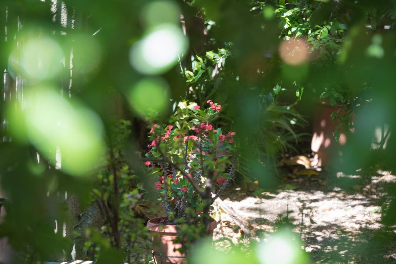Casa Dina Apartment Lefkada City Bagian luar foto